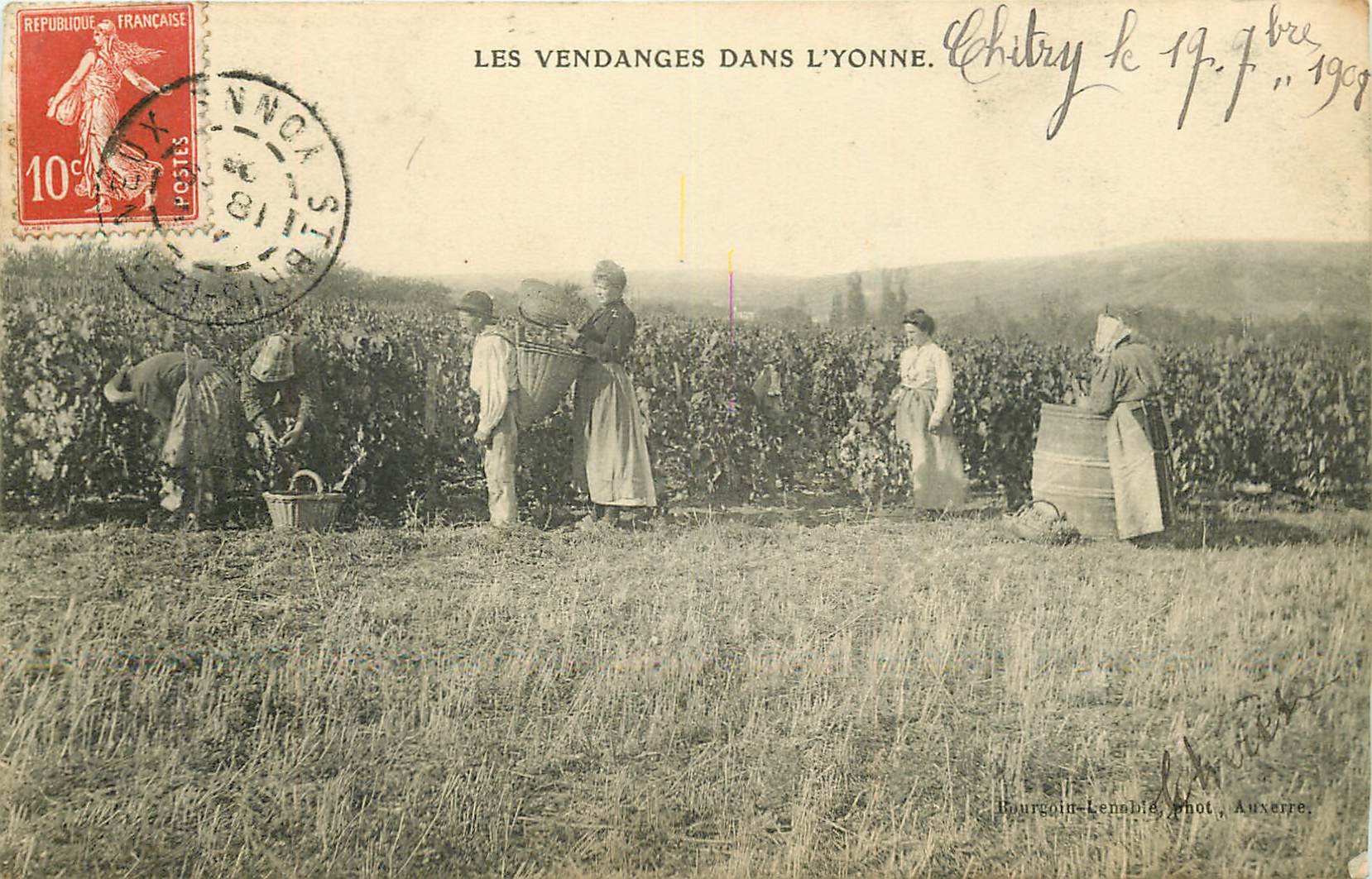 89 SAINT-BRICE-LE-VINEUX. Les Vendanges dans l'Yonne avec Hotteurs et Cueuillette du raisin 1908