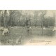 40 LANDES. Berger Landais sur échasses gardant son Troupeau de Moutons 1904
