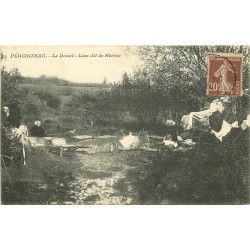 29 PLOUIGNEAU. Le Douet Lieu dit de Hérine avec Laveuses Lavandières au Lavoir 1920