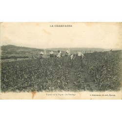 51 LA CHAMPAGNE. Le Sarclage au Travail de la Vigne