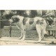 3 x Cpa CHIENS DES PYRENEES PUR. Gazot Ier Chenil Club Argelès 1905