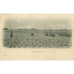 31 PIBRAC environs. Gardienne de Moutons et maison de Sainte-Germaine 1909