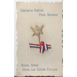 GUERRE 1914-18. Véritable Edelweiss avec vrai ruban tricolore