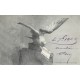 17 ROYAN. Une Mouette apportant une carte postale 1903