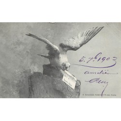 17 ROYAN. Une Mouette apportant une carte postale 1903