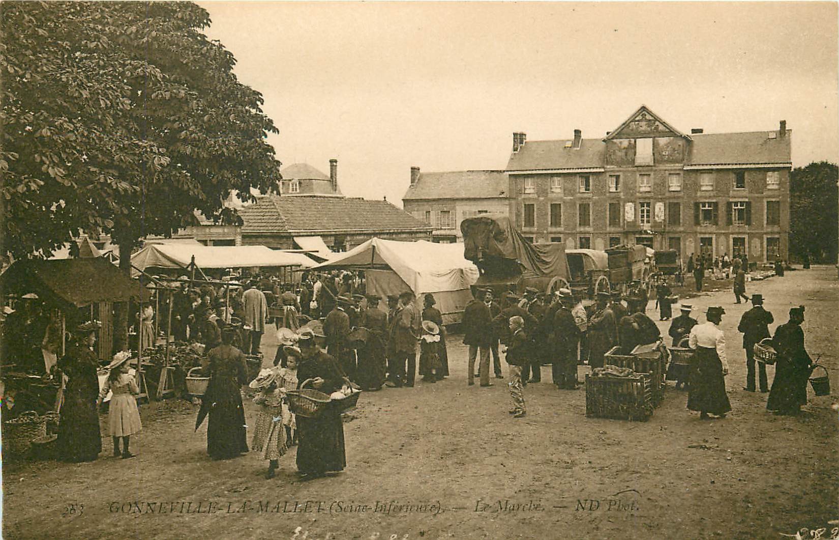 76 GONNEVILLE-LA-MALLET. Le Marché