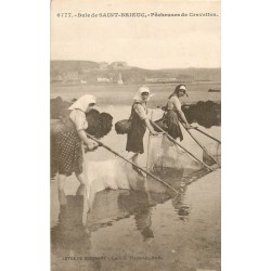 22 Baie de SAINT-BRIEUC. Pêcheuses de Crevettes