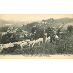 76 ARQUES-LA-BATAILLE. Berger et son troupeau de moutons avec vue sur le Château