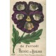63 FERNOEL. Un Bonjour avec 5 jolies femmes dans une Fleur 1909