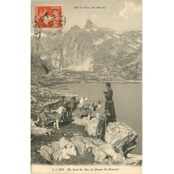 SUISSE. Curé et chiens au Lac Saint-Bernard vers le Pain de Sucre 1913