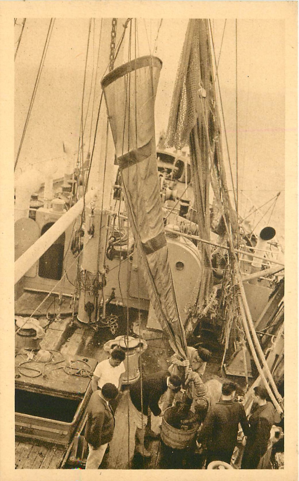 METIERS DE LA PÊCHE. Récolte de plancton à bord du Présient Théodore Tissier