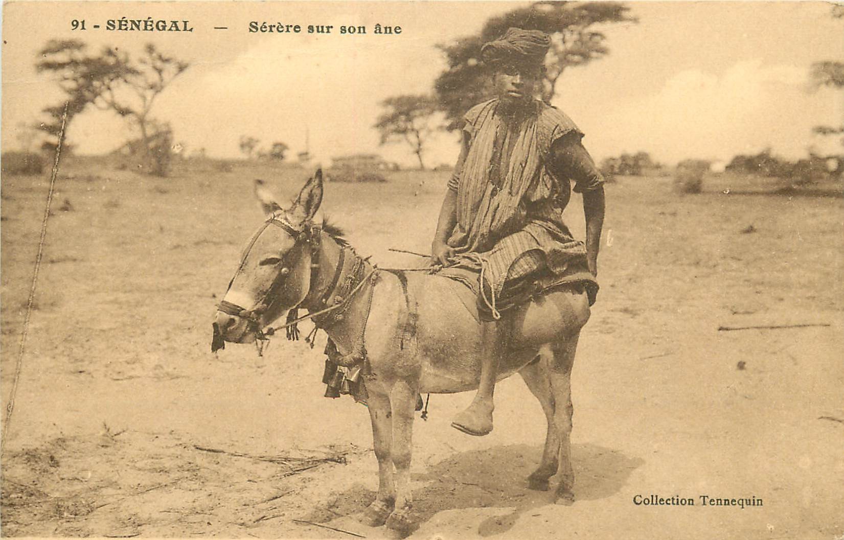 SENEGAL. Sévère sur son âne