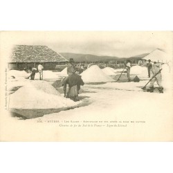 83 HYERES. Les Salins nettoyage du Sel après mise en mottes