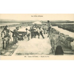 83 HYERES. Récolte du Sel aux salins et transport par wagonnets et Chevaux