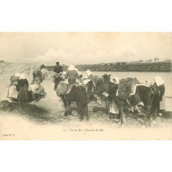 17 ILE DE RE. Charroi du Sel sur ânes, Paludières et Paludiers vers 1900