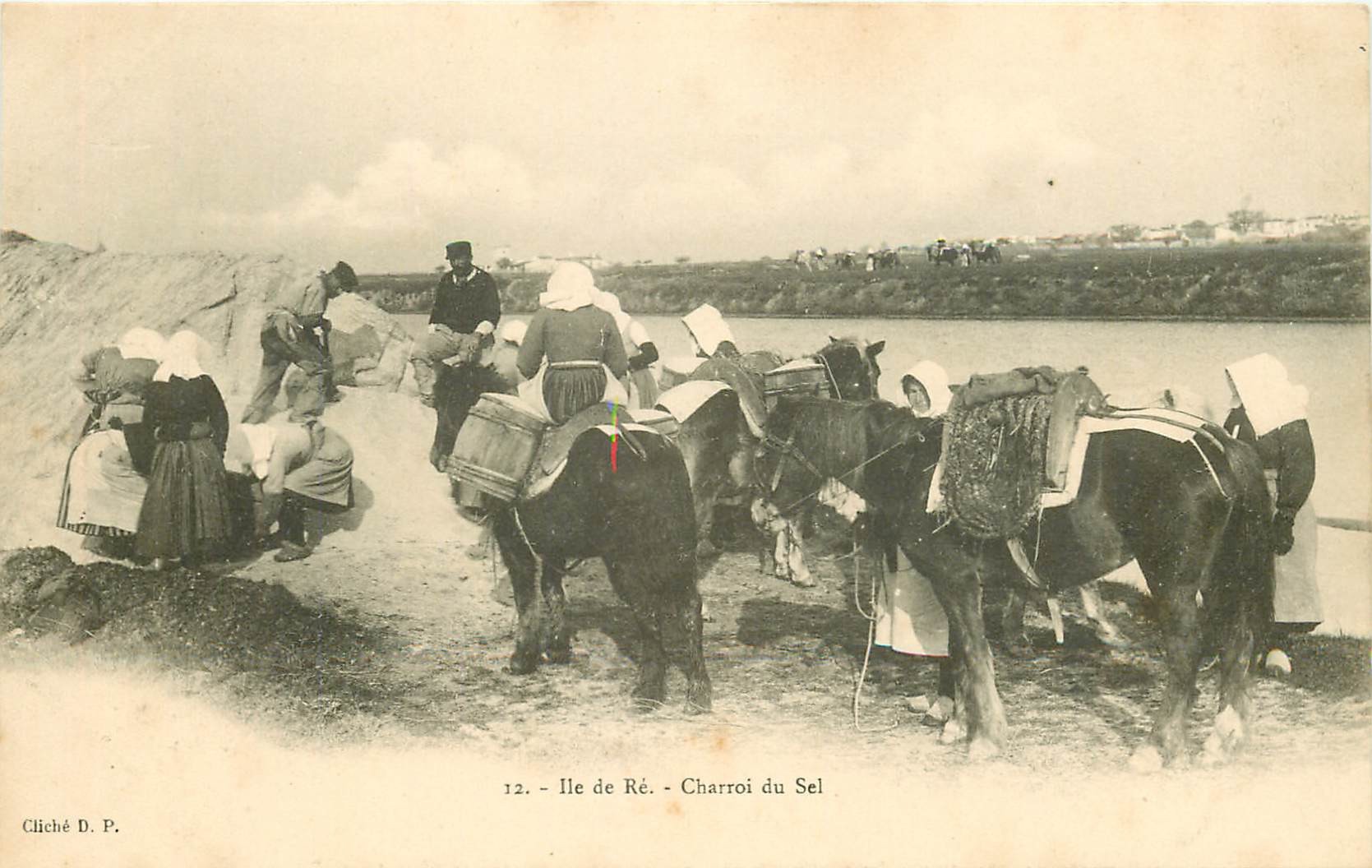 17 ILE DE RE. Charroi du Sel sur ânes, Paludières et Paludiers vers 1900