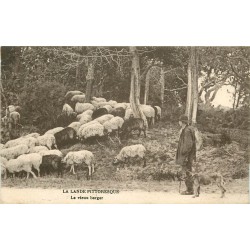 40 LA LANDE. Vieux Berger et son troupeau de Moutons 1919