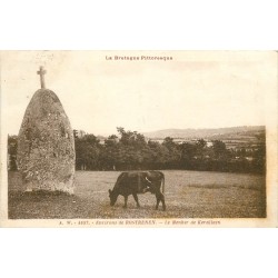 22 ROSTRENEN. Vache près du Menhir de Kerallain 1931