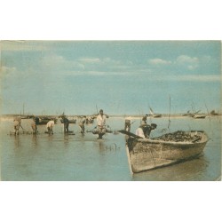 17 RONCE-LES-BAINS. Pêche des Huîtres à la Tremblade 1922