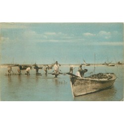 17 RONCE-LES-BAINS. Pêche des Huîtres à la Tremblade 1922