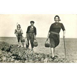 17 ILE DE RE. Jeunes Pêcheuses d'Huîtres photo cpa 1970