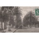 carte postale ancienne 83 HYERES LES PALMIERS. Avenue des Palmiers 1906