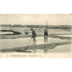 44 LES MARAIS-SALANTS. Récolte du Sel par des Paludiers