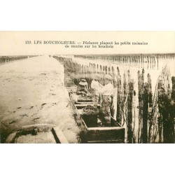 Les Boucholeurs plaçant les petits naissains de Moules sur les Bouchots