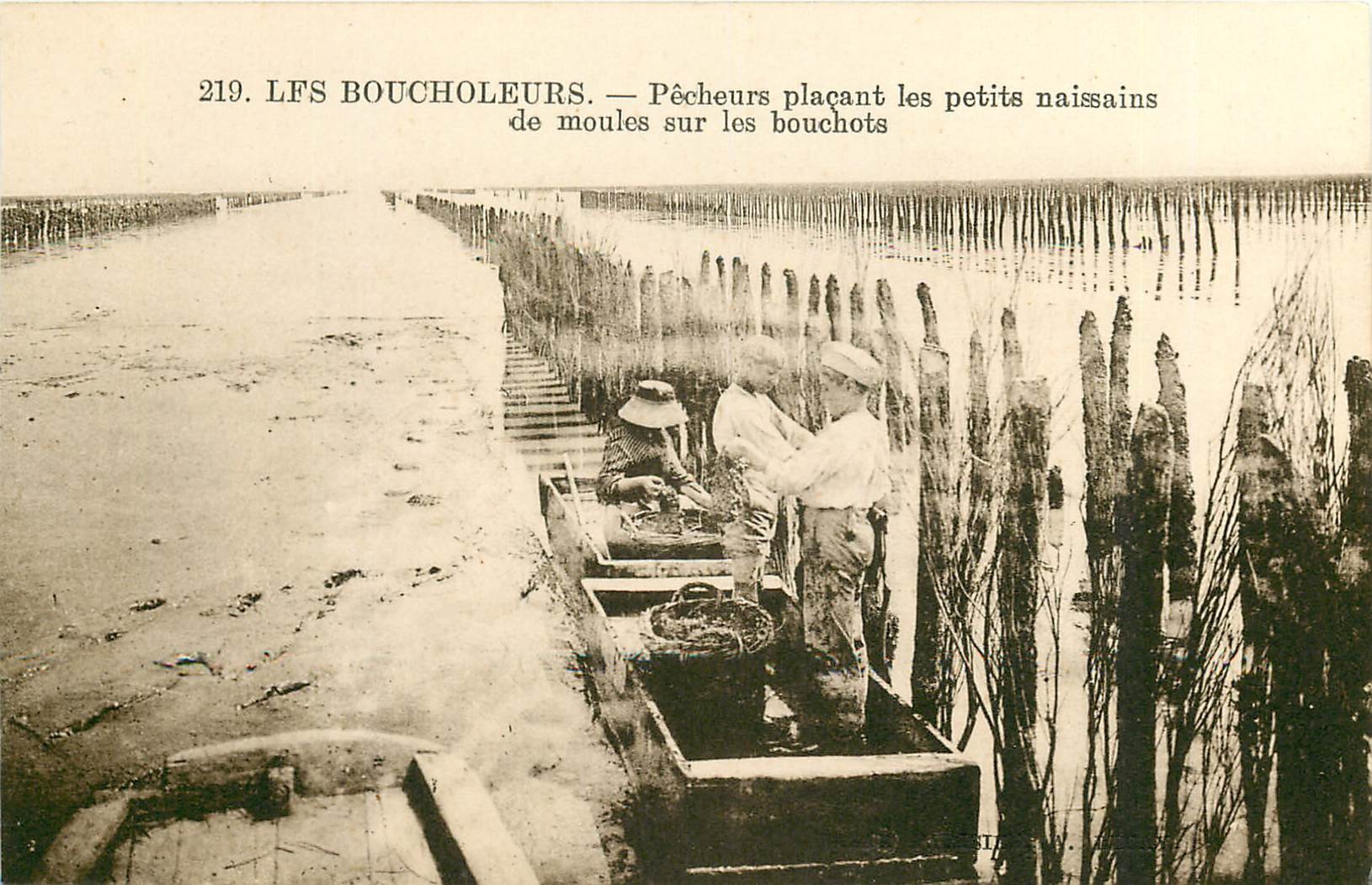Les Boucholeurs plaçant les petits naissains de Moules sur les Bouchots