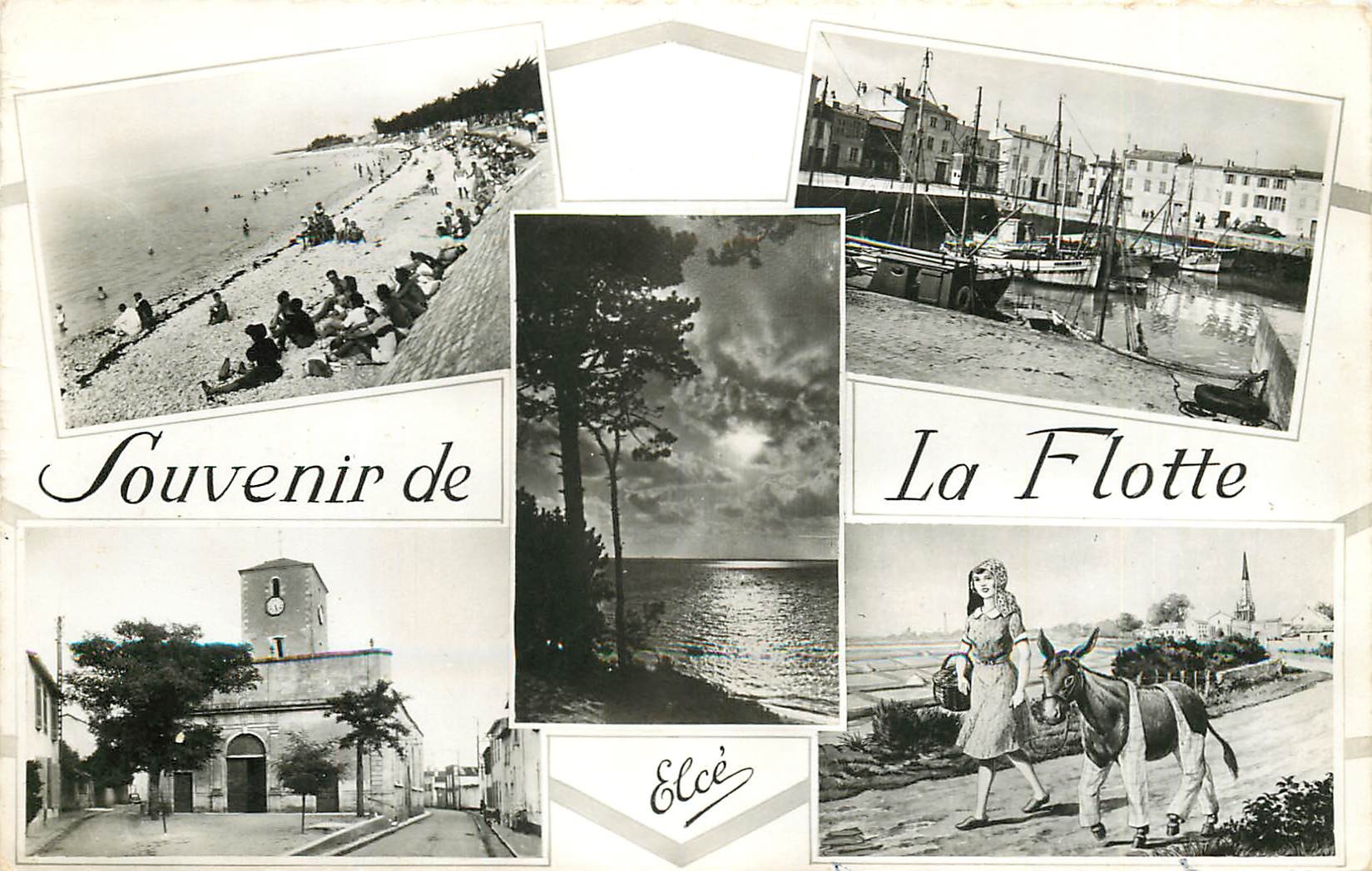 17 SAINT-MARTIN-DE-RE. Souvenir multivues La Flotte 1961