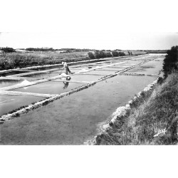 85 SAINT-HILAIRE-DE-RIEZ. Paludier dans les Marais Salants