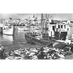 85 LES SABLES D'OLONNE. Débarquement du Thon au Port