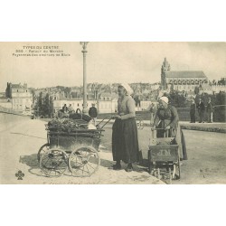 41 BLOIS. Paysannes au retour du Marché avec chariottes 1903