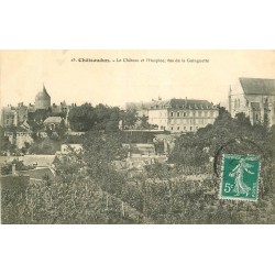 28 CHATEAUDUN. Château et Hospice vus de la Guinguette