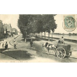 41 BLOIS. Attelage avec citerne d'eau sur le Mail 1906 ou nettoyeur de rues