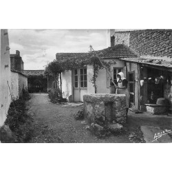 Photo Cpsm 17 ILE D'OLERON. Domino avec son Puits 1952