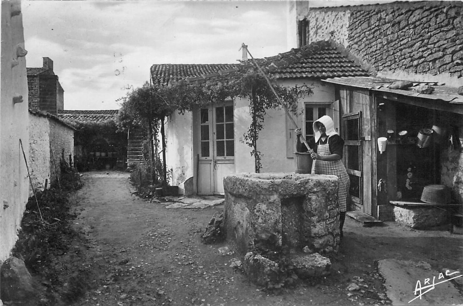 Photo Cpsm 17 ILE D'OLERON. Domino avec son Puits 1952