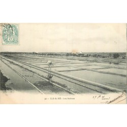 17 ILE DE RE. Paludier dans les Salines vers 1904