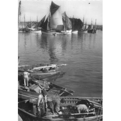 Photo Cpsm 29 CONCARNEAU. Pêcheurs au Port avec leurs bateaux de Pêche