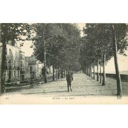 41 BLOIS. Promeneur sur le Mail