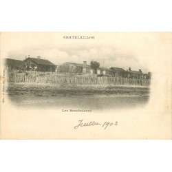 17 CHÂTELAILLON. Le Retour des Boucholeurs 1903