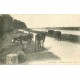 41 BLOIS. Troupeau de Vaches Bord de la Loire 1906