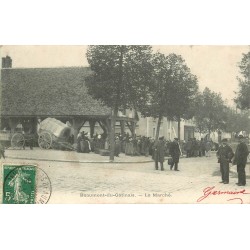 77 BEAUMONT-DU-GÂTINAIS. Le Marché 1908