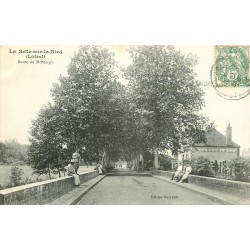 45 LA SELLE-SUR-LE-BIED. Pont sur la Route de Montargis