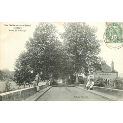 45 LA SELLE-SUR-LE-BIED. Pont sur la Route de Montargis