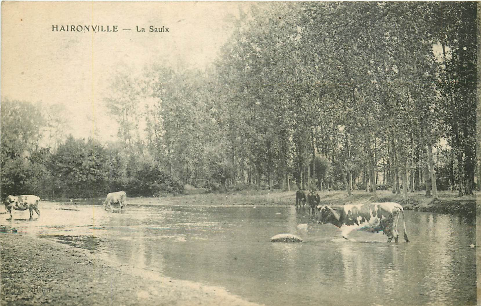55 HAIRONVILLE. Vaches dans la Saulx 1918