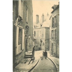 41 BLOIS. Animation rue Haute