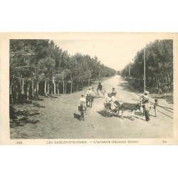 85 LES SABLES D'OLONNE. Ballades avec Ânes et Lac Tanchet