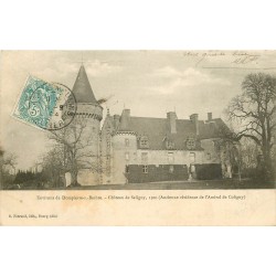 03 SALIGNY-SUR-RODON. Le Château de l'Amiral de Coligny 1904