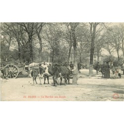 41 BLOIS. Le Marché aux Boeufs.